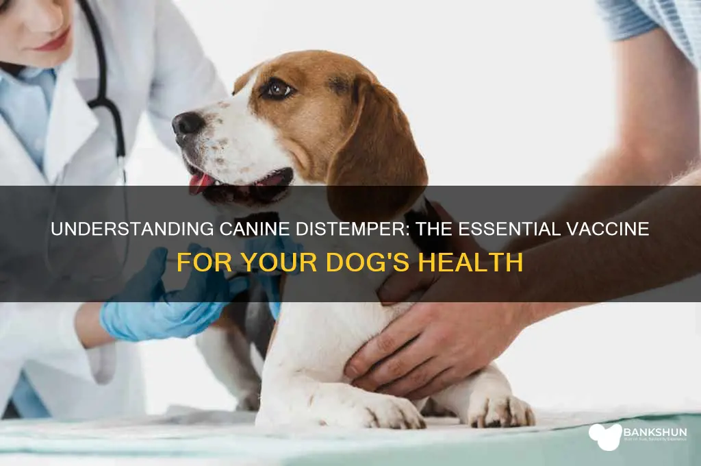 what is the vaccine for canine distemper