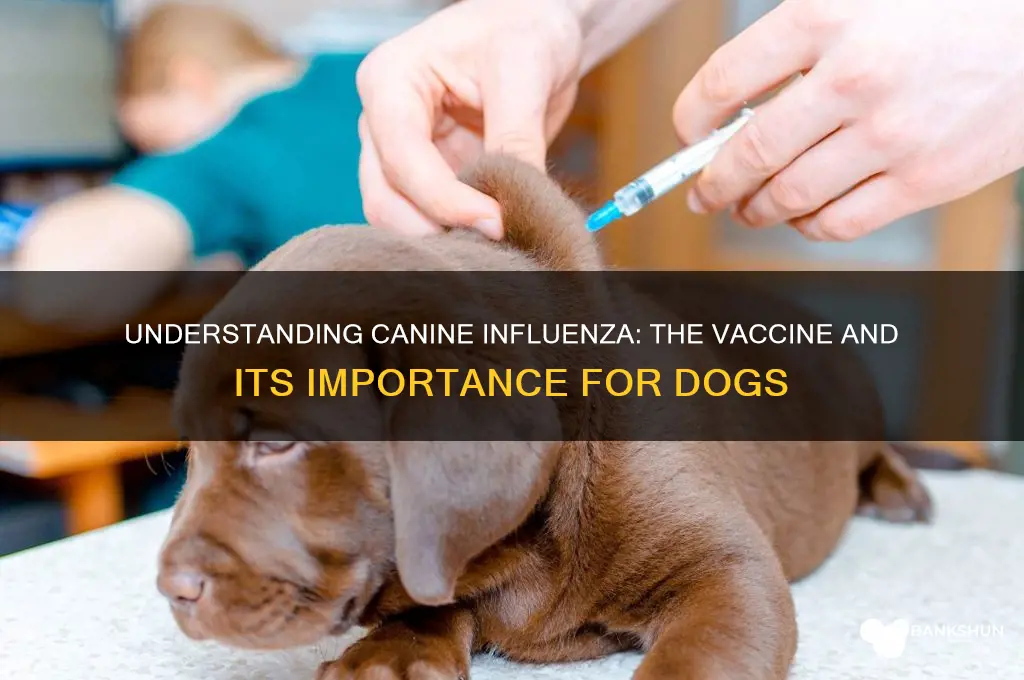 what is the vaccine for canine influenza