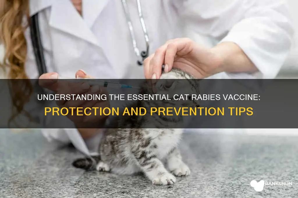what is the vaccine for cat rabies