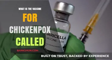 Understanding the Chickenpox Vaccine: What is Varivax and How Does it Work?