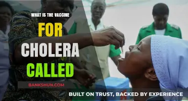 Understanding Cholera Prevention: The Name of the Cholera Vaccine
