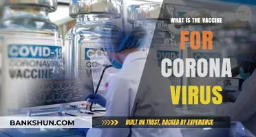 Understanding COVID-19 Vaccines: Types, Effectiveness, and Importance Explained