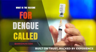 Understanding Dengue Vaccine: Name, Effectiveness, and Availability Explained