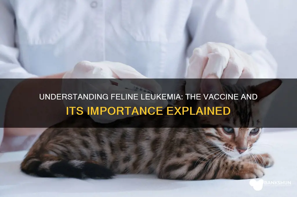 what is the vaccine for feline leukemia