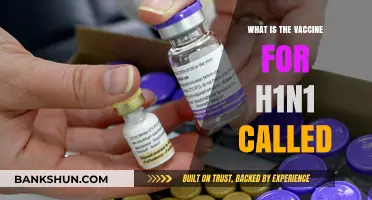 Understanding the H1N1 Vaccine: Name, Purpose, and Importance Explained