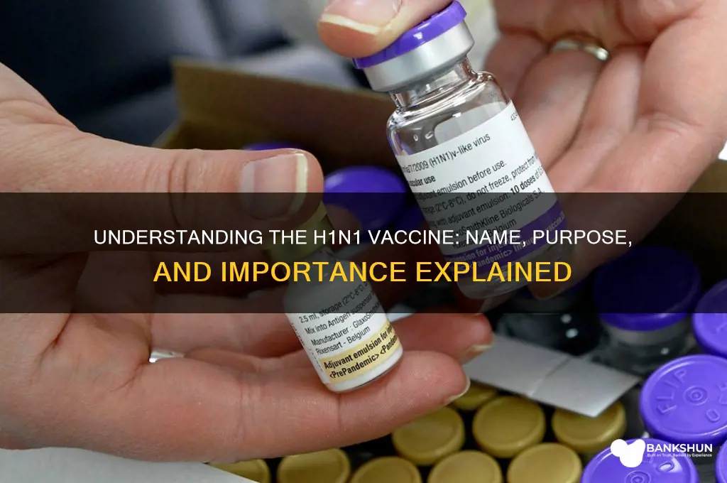 what is the vaccine for h1n1 called