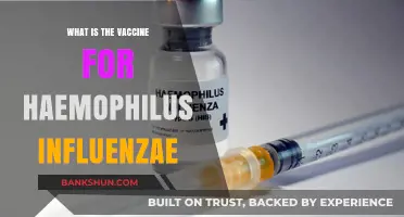 Understanding the Haemophilus Influenzae Vaccine: Protection and Importance