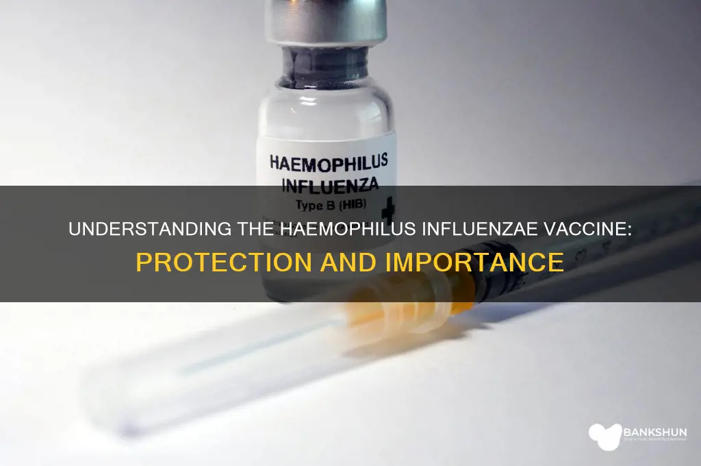 what is the vaccine for haemophilus influenzae