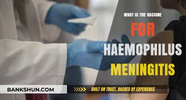 Understanding the Haemophilus Meningitis Vaccine: Prevention and Protection Explained