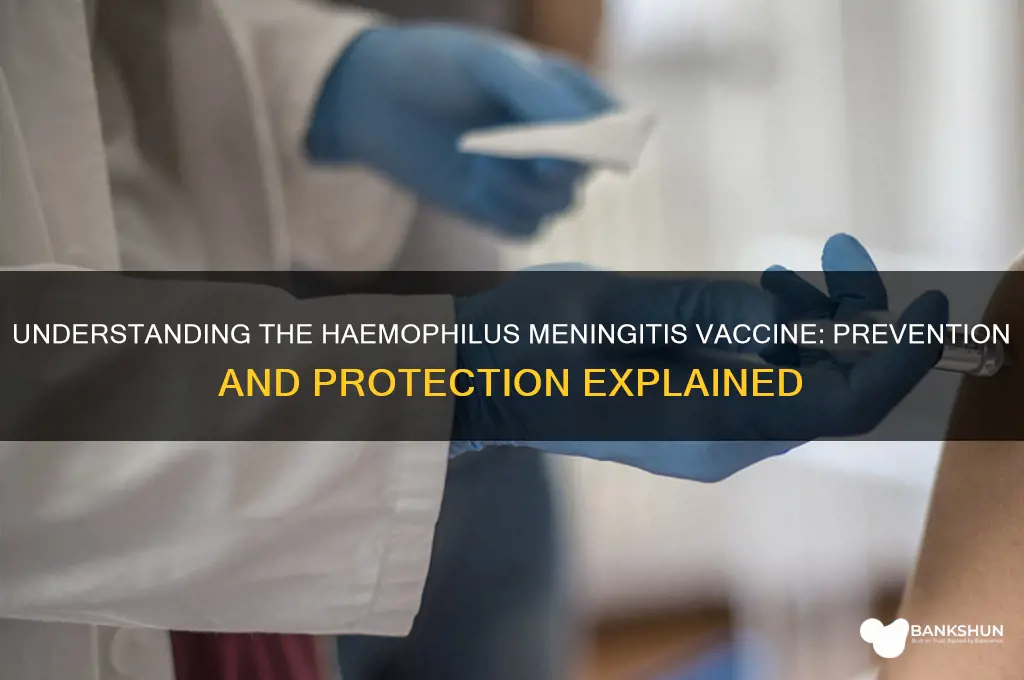 what is the vaccine for haemophilus meningitis