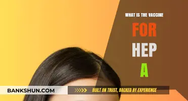 Understanding Hepatitis A: The Essential Vaccine Guide for Prevention