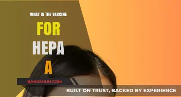 Understanding Hepatitis A: The Essential Vaccine for Prevention and Protection