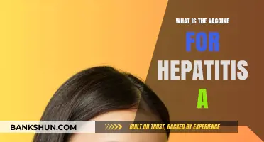 Understanding Hepatitis A: Vaccine Benefits, Dosage, and Prevention Tips