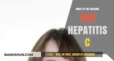 Understanding Hepatitis C: The Vaccine, Prevention, and Treatment Options