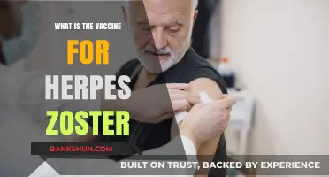 Understanding Herpes Zoster: The Vaccine to Prevent Shingles Explained