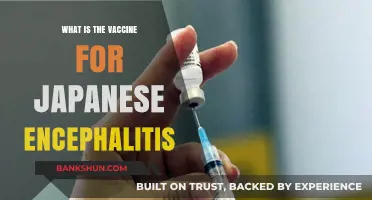 Understanding the Japanese Encephalitis Vaccine: Protection and Prevention