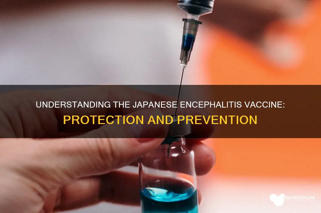 what is the vaccine for japanese encephalitis