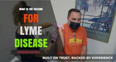 Understanding Lyme Disease Vaccines: Prevention, Availability, and Effectiveness Explained