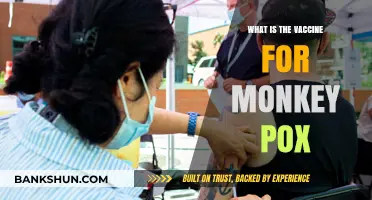 Understanding Monkeypox Vaccines: Prevention, Availability, and Effectiveness Explained