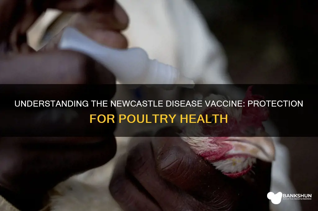 what is the vaccine for newcastle disease