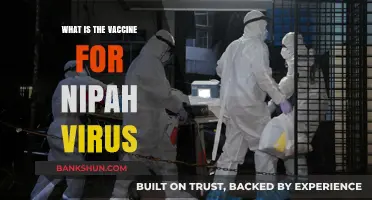 Understanding Nipah Virus: Current Vaccine Development and Prevention Strategies