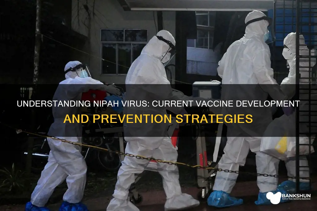 what is the vaccine for nipah virus