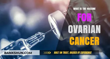 Understanding Ovarian Cancer Vaccines: Current Research and Future Hope