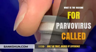 Understanding the Parvovirus Vaccine: Name, Purpose, and Importance