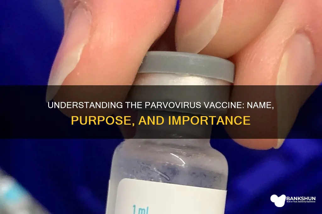 what is the vaccine for parvovirus called