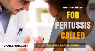 Understanding Pertussis: The Name and Purpose of Its Vaccine