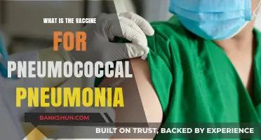 Understanding Pneumococcal Pneumonia Vaccines: Prevention and Protection Explained