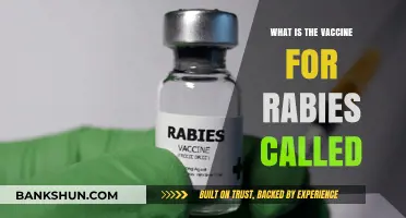 Understanding Rabies Prevention: The Name of the Life-Saving Vaccine
