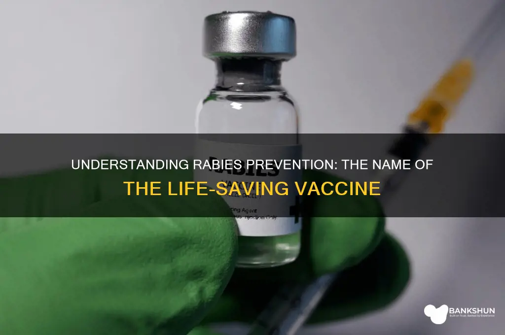 what is the vaccine for rabies called
