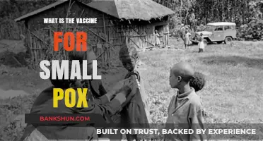 Understanding the Smallpox Vaccine: History, Effectiveness, and Eradication Success