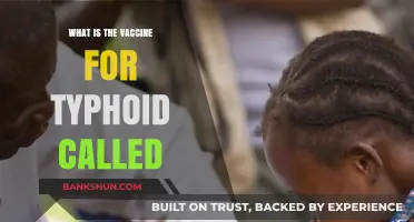 Typhoid Vaccine: Understanding the Shot That Prevents Typhoid Fever