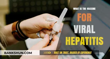 Understanding Viral Hepatitis Vaccines: Prevention and Protection Explained
