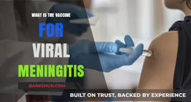 Understanding Viral Meningitis: Available Vaccines and Their Importance