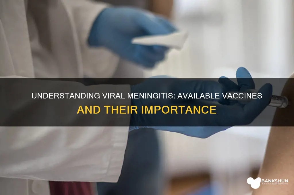 what is the vaccine for viral meningitis