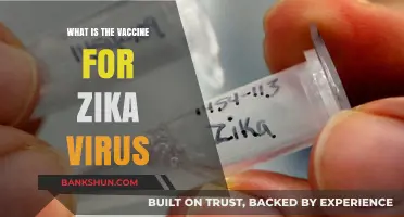 Understanding Zika Virus: Current Vaccine Development and Prevention Strategies