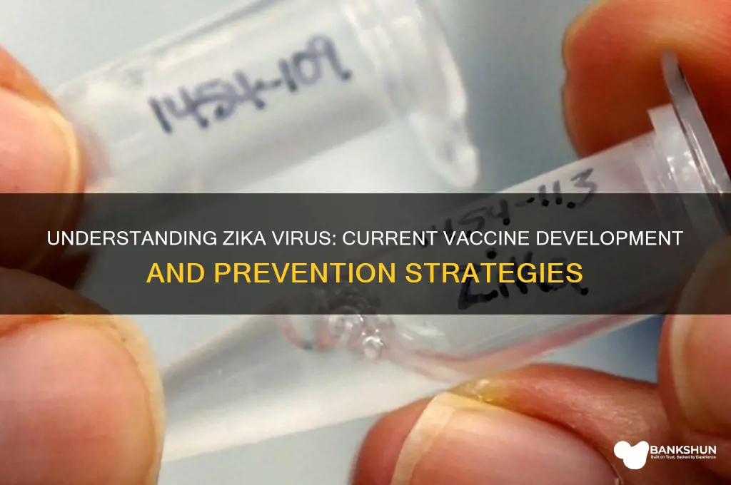 what is the vaccine for zika virus