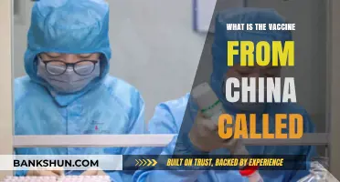 China's COVID-19 Vaccine: Understanding the Sinovac and Sinopharm Shots