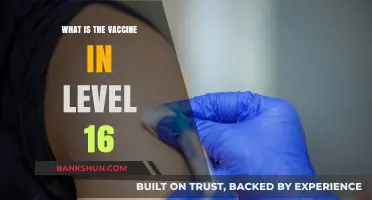 Unveiling the Mystery: Understanding the Vaccine in Level 16 Explained