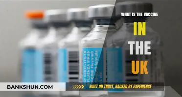 Understanding the UK's Vaccine: Types, Availability, and Importance