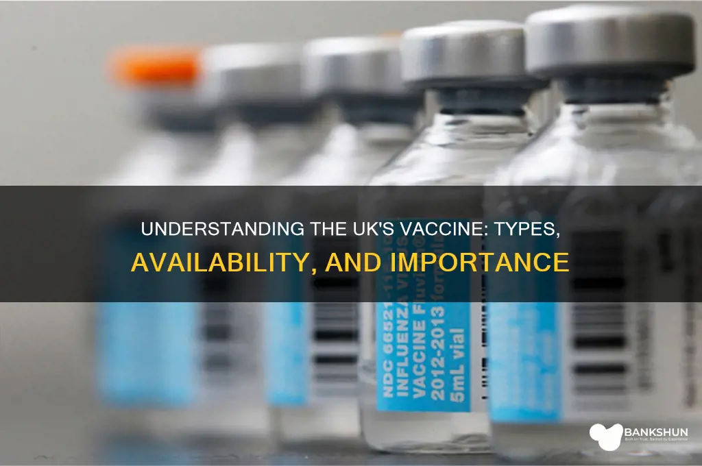 what is the vaccine in the uk