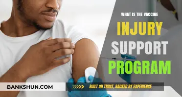 Understanding the Vaccine Injury Support Program: Compensation and Assistance Explained
