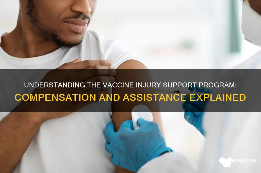 what is the vaccine injury support program