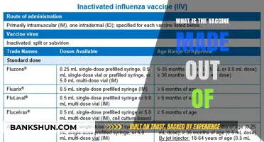 Understanding Vaccine Composition: Key Ingredients and Their Roles Explained