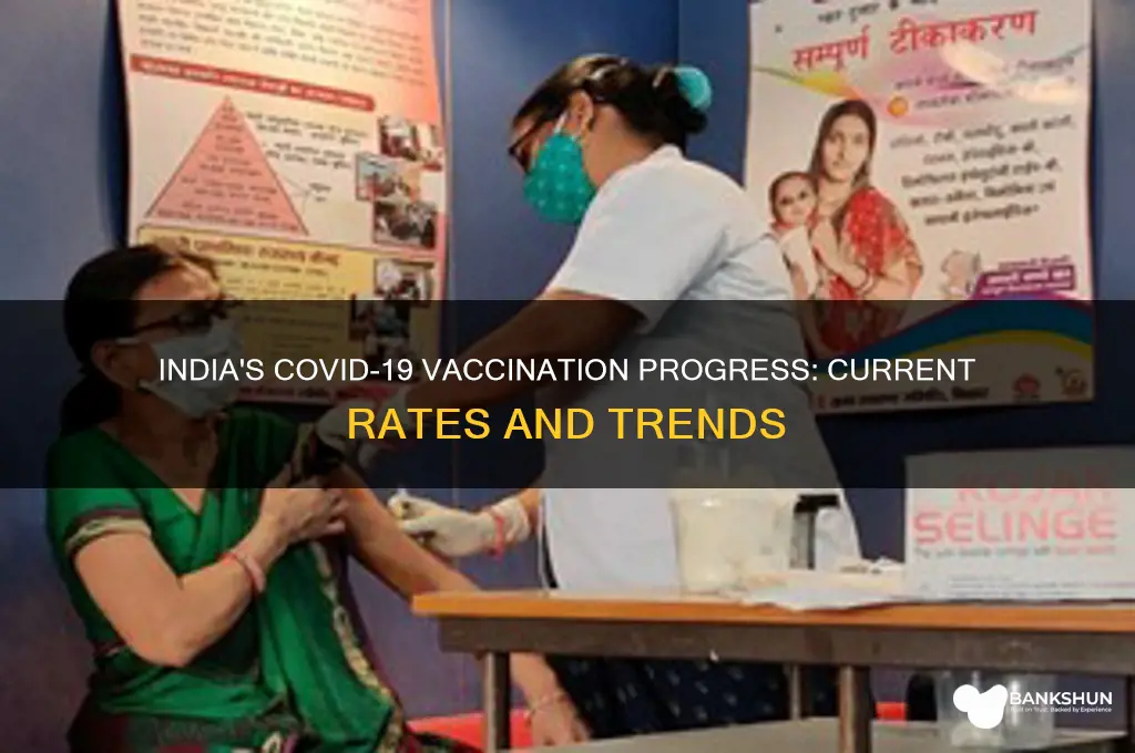 what is the vaccine rate in india
