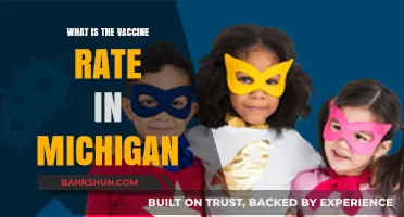 Michigan's Vaccine Rate: Current Statistics and Trends Explained