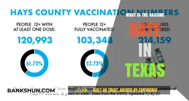 Texas Vaccine Rates: Current Statistics and Trends Explained